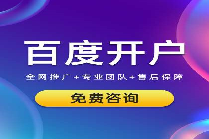 SEM搜索引擎优化：成功案例解析